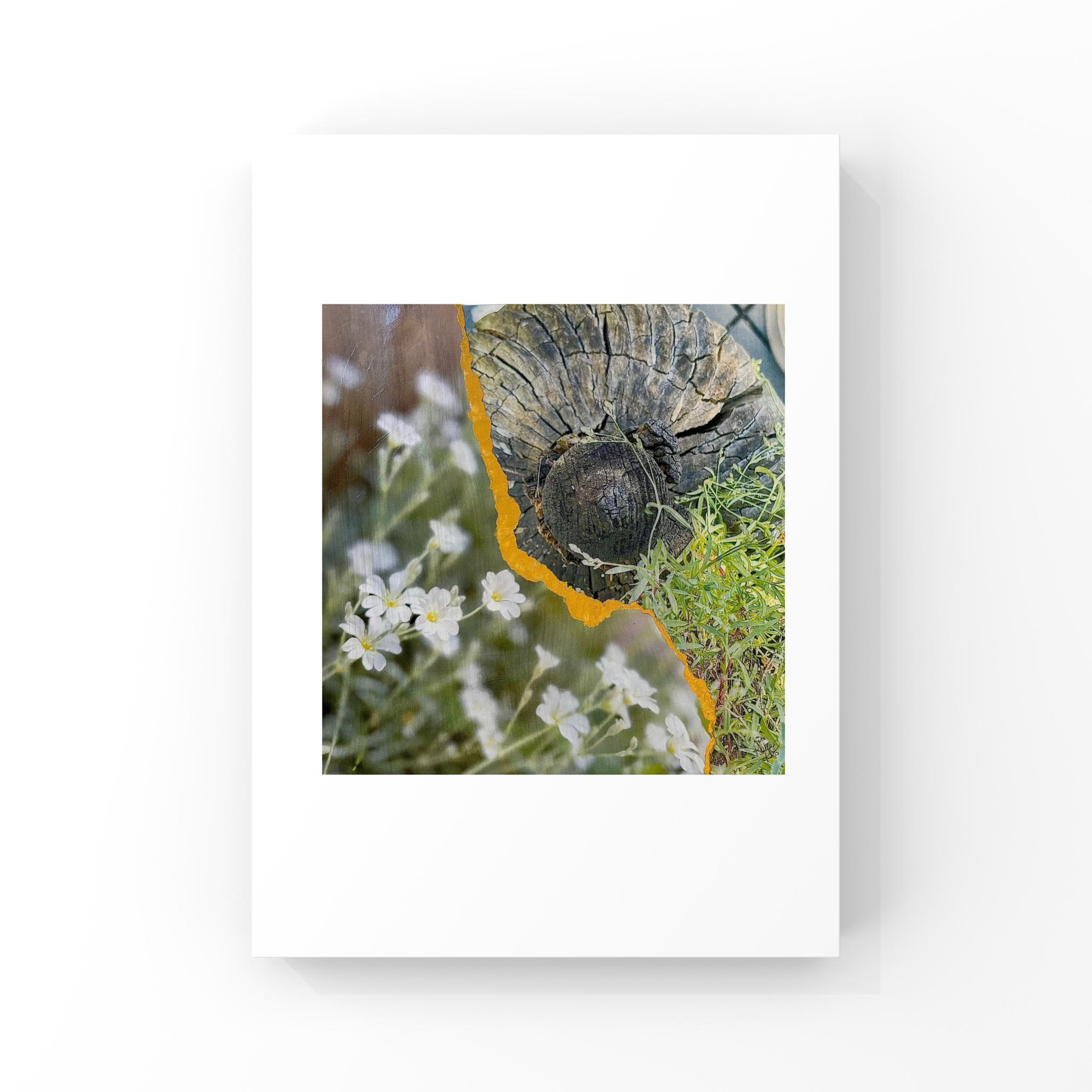 Hedge Dwellers Limited Edition Prints